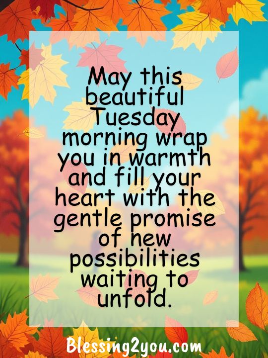 Beautiful Tuesday Morning Blessings