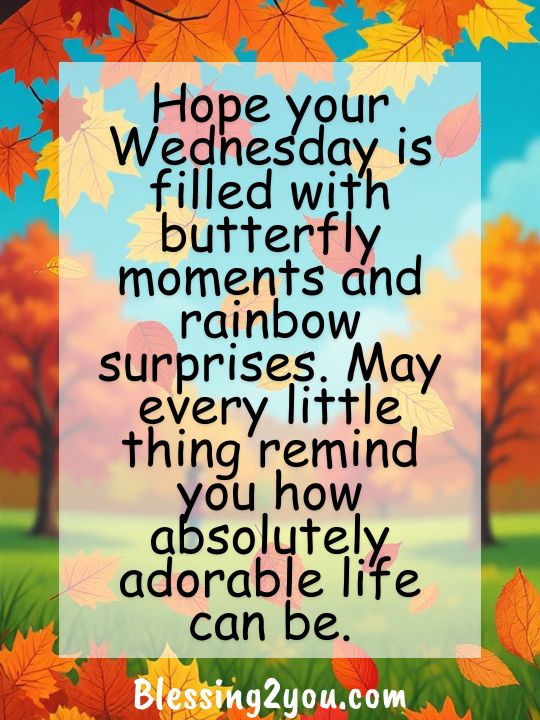 Cute Wednesday Blessings