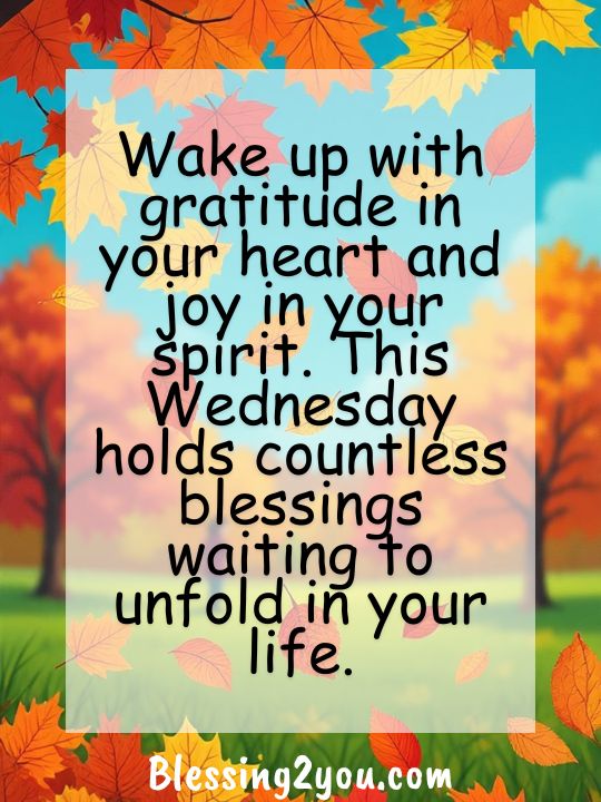 Delightful Good Morning Wednesday Blessings