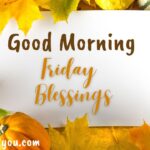 Good Morning Friday Blessings