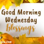Good Morning Wednesday Blessings