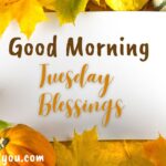 Good morning Tuesday Blessings