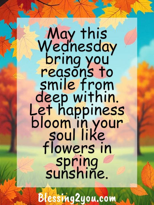 Happy Wednesday Blessings