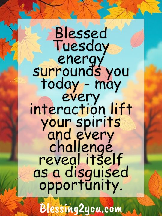 Positive Tuesday Blessings