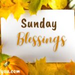 Sunday Blessings