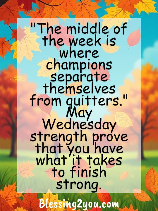 Wednesday Quotes for Midweek Motivation